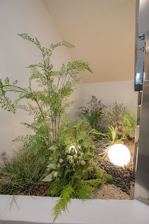 A small indoor garden with various plants and a round light fixture. - Grida Hongdae (Seoul)