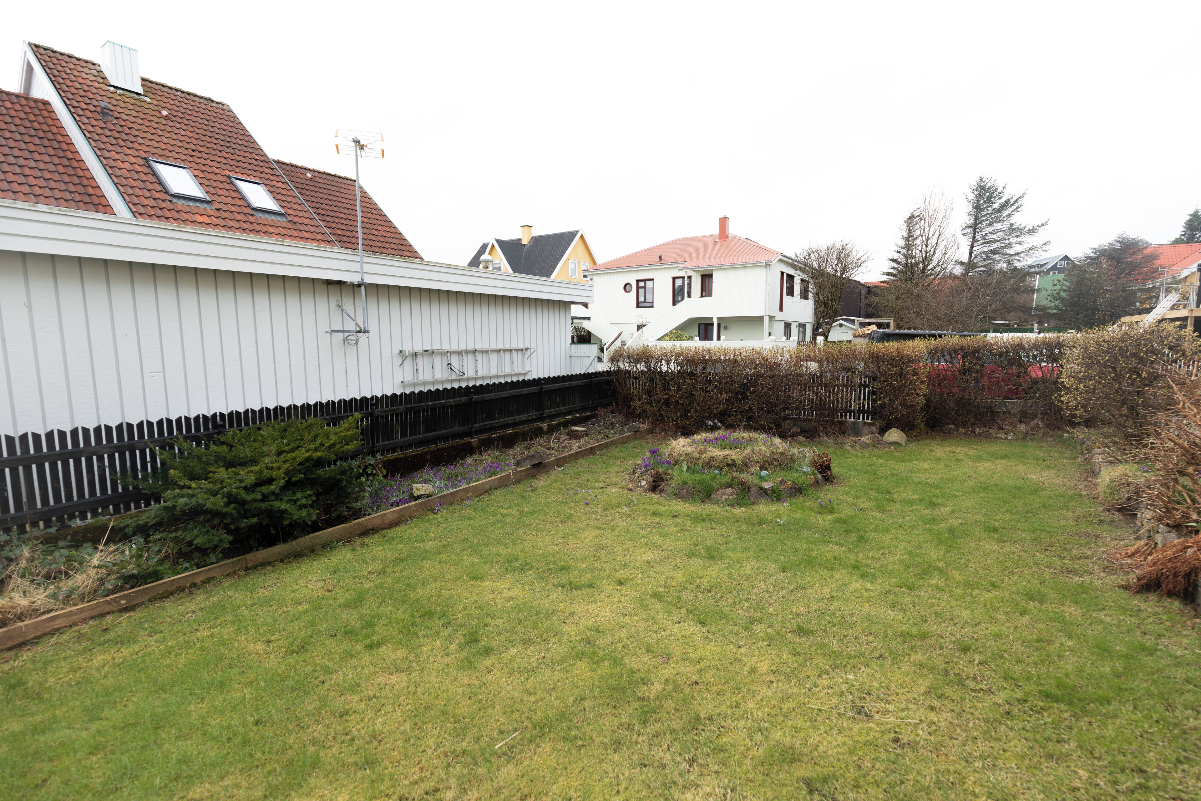 Een woonwijk met een wit gebouw, een omheind erf en een tuin met paarse bloemen.