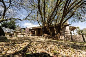 Un edificio con un árbol grande al frente, un muro de piedra y un cielo despejado.