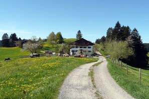 A rural landscape with a gravel path leading to a two-story house surrounded by greenery and livestock. - at the Schweizer holiday farm (Waltenhofen)