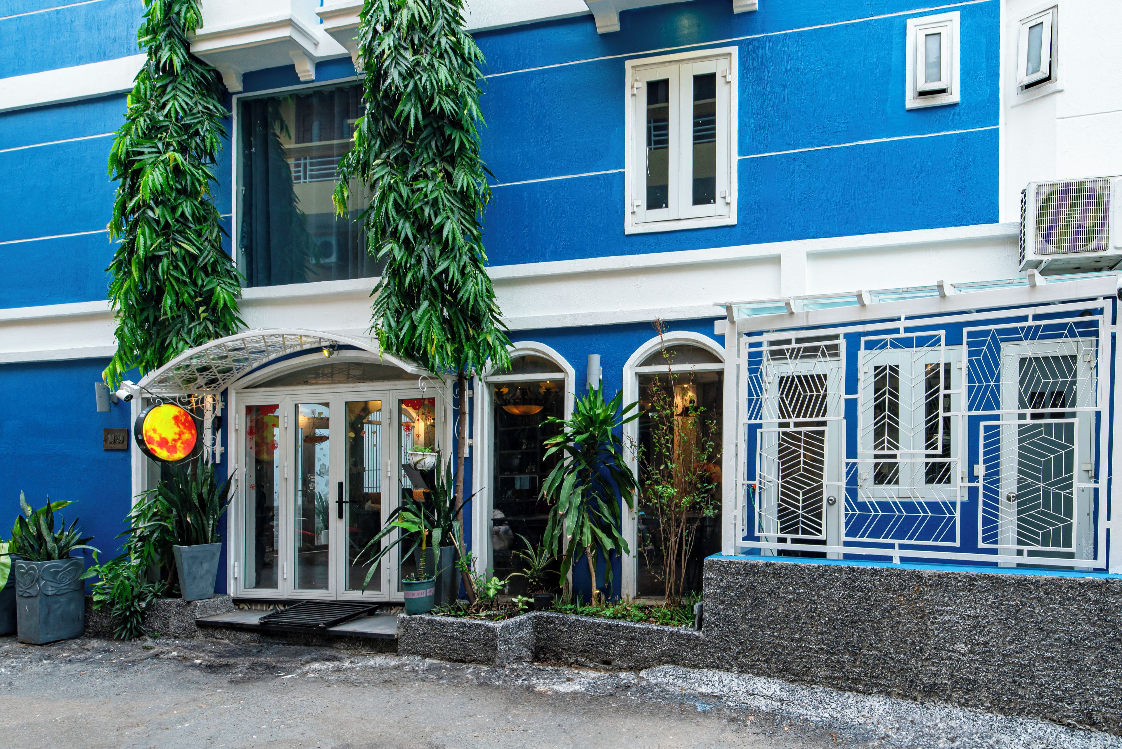 A blue building with a white door and windows, surrounded by potted plants.