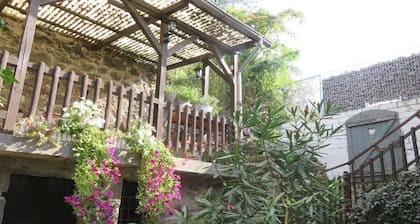 Country Houses Patricia