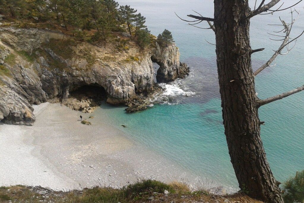 A coastal landscape with a rocky cliff, a beach, and a tree.