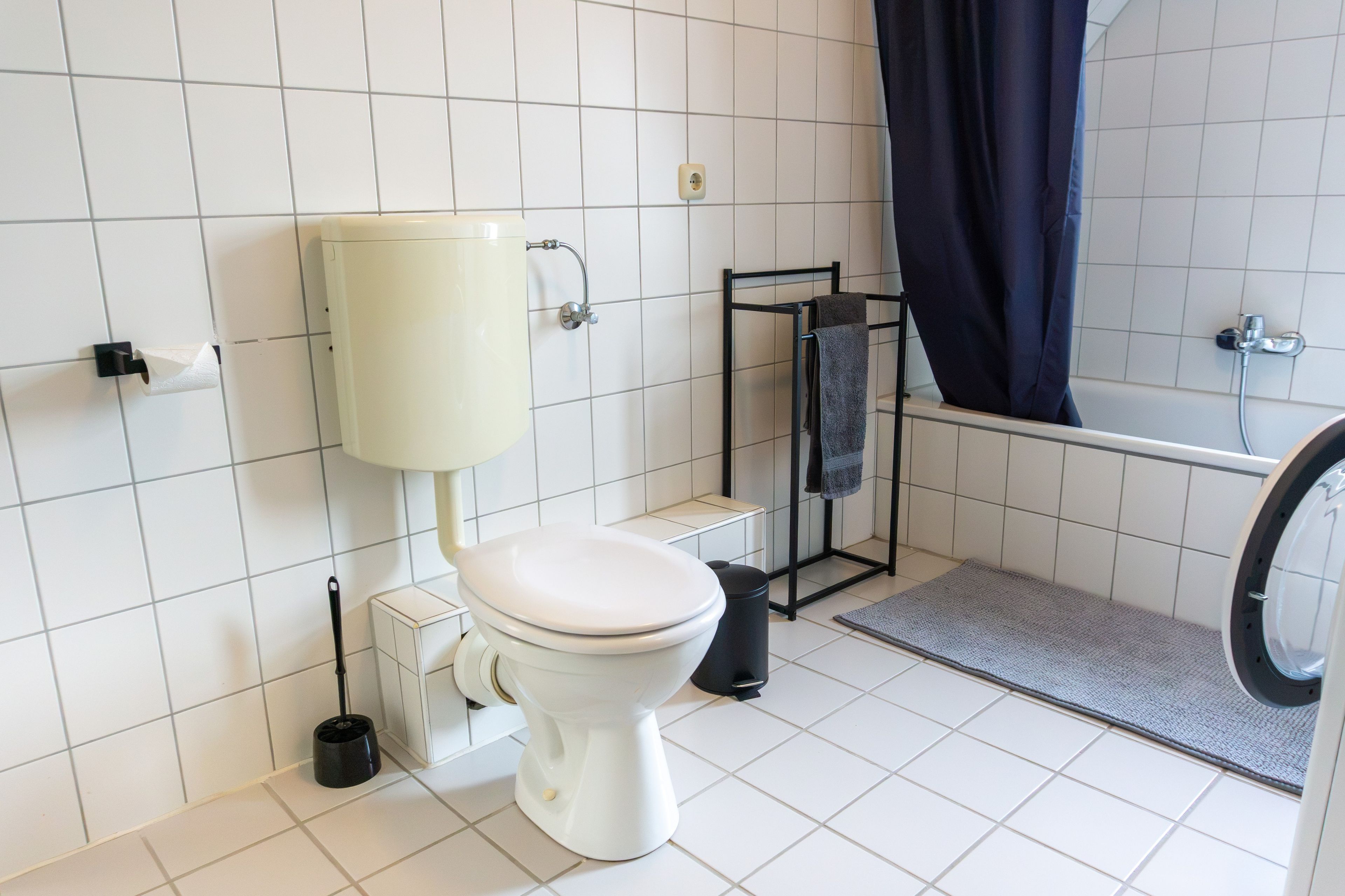 Ein Badezimmer mit Toilette, Dusche und Handtuchhalter.