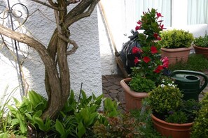 A garden with potted plants, a tree, and a white wall. - Holiday apartment with 3 bedrooms (Meersburg)