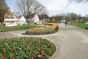 A paved pathway with flower beds on either side, leading to a row of houses with sloped roofs. - Holiday apartment with 3 bedrooms (Meersburg)