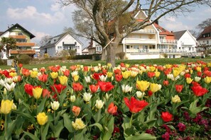 Ein Wohngebiet mit Häusern und einem Tulpenfeld.