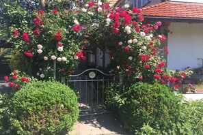 A garden with a variety of flowering plants and a metal gate. - 1 in the Walser country house (Wasserburg)