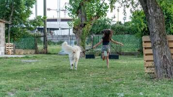 Un espacio al aire libre con césped, árboles y una cerca.