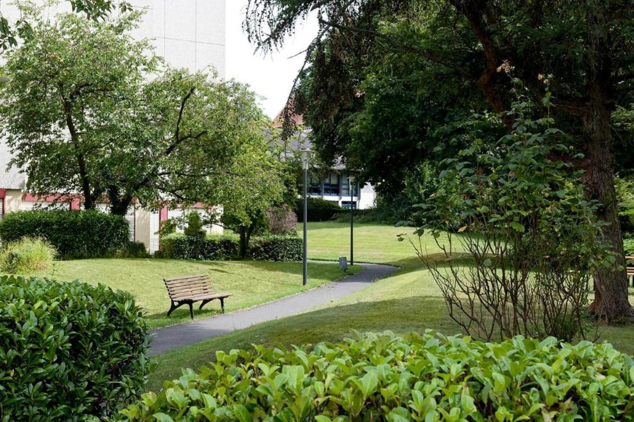 Un parque con un banco, un sendero y un edificio al fondo.