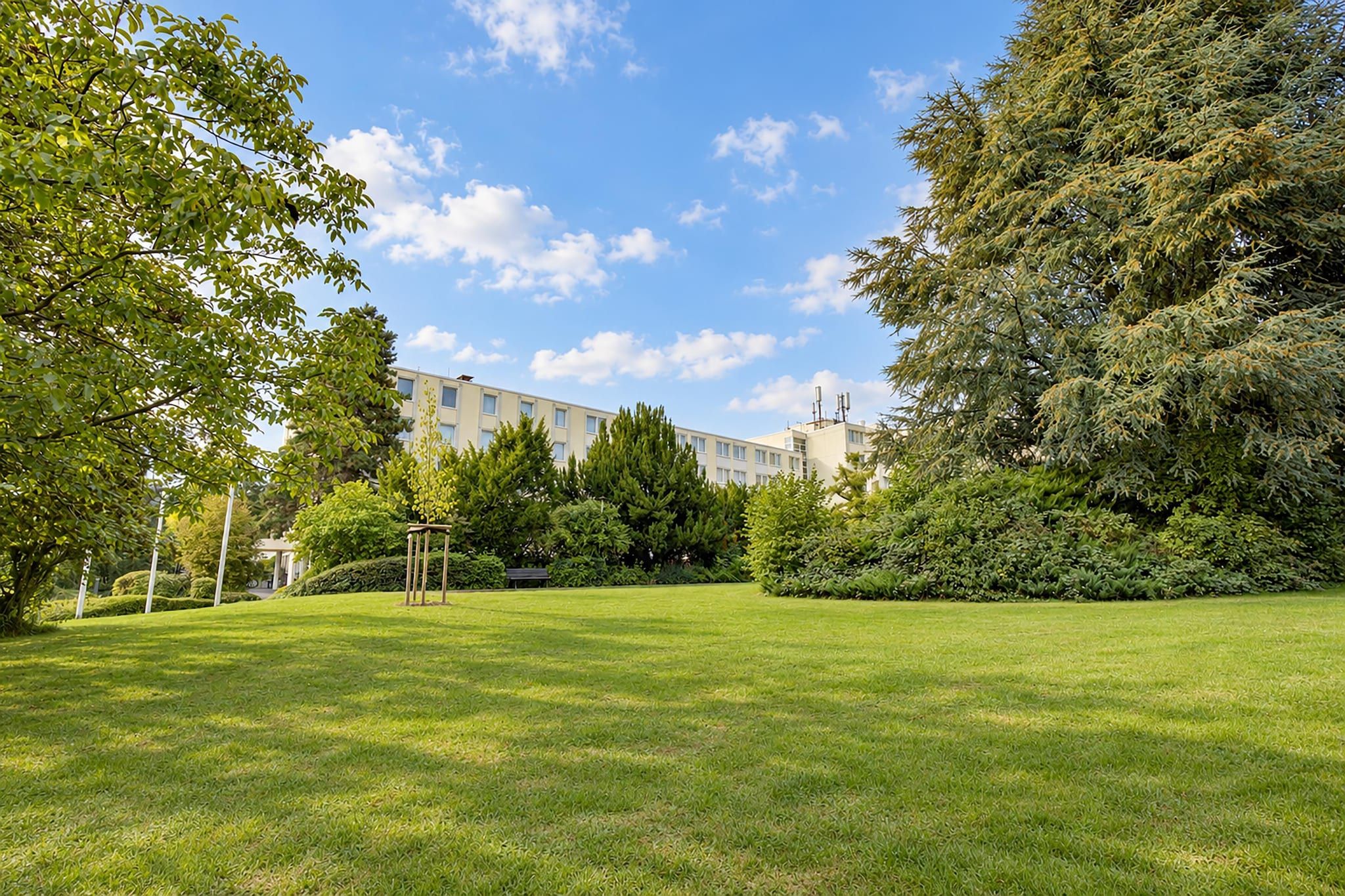 Un'area verde curata con un edificio sullo sfondo.