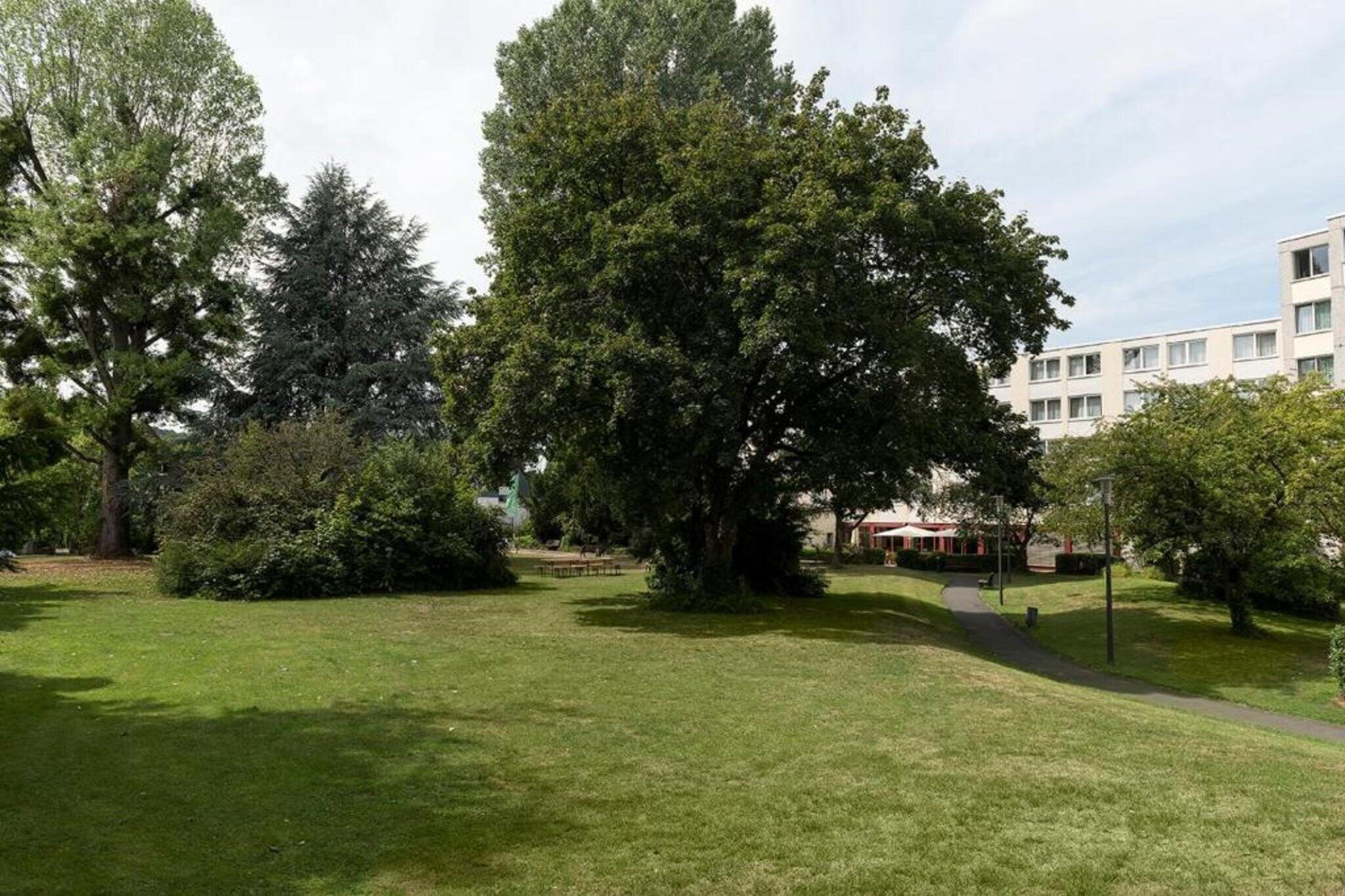 A park with a large tree, a building in the background, and a clear sky.