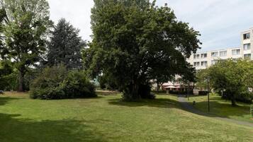 A park with a large tree, a building in the background, and a clear sky.