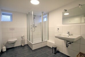 Ein modernes Badezimmer mit einer gläsernen Duschkabine, einer Toilette und einem Waschbecken mit Spiegel darüber.