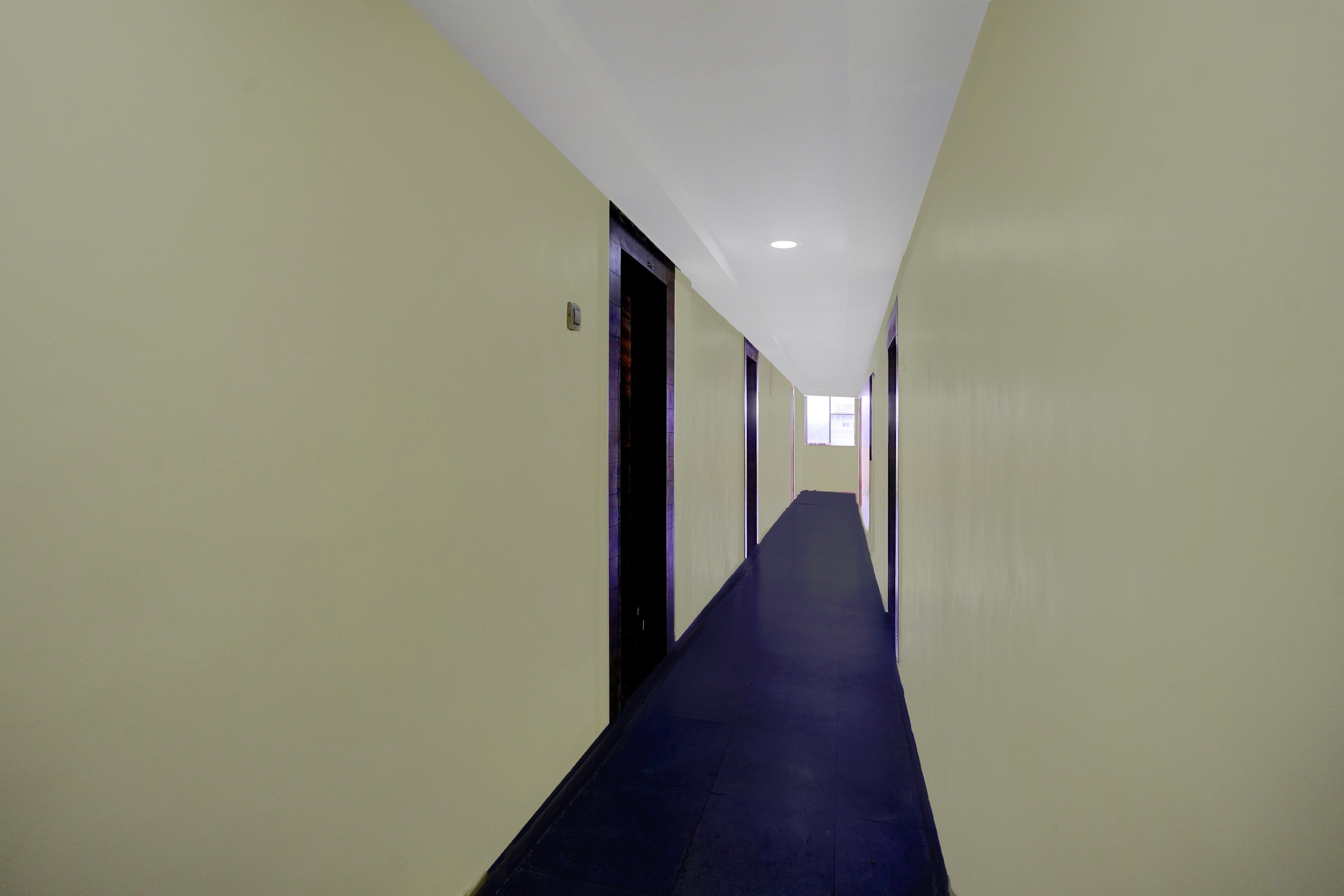 A long, narrow hallway with doors on both sides and a blue carpet.
