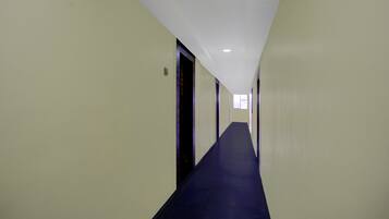 A long, narrow hallway with doors on both sides and a blue carpet.