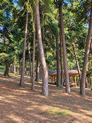 A forested area with a wooden pavilion. - SKY MORE Hotel & Restaurant Abastumani  (Abastumani)