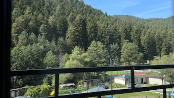 Vista desde un balcón con barandilla de metal, sobre un promontorio boscoso y una zona residencial con casas y un parque infantil.