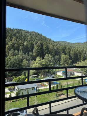 A view from a balcony with a metal railing, overlooking a forested hillside and a residential area with houses and a playground.