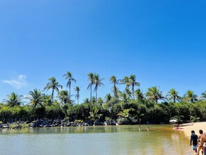 A beach with palm trees and a clear sky. - Pousada Aquarela Caraiva (Porto Seguro)