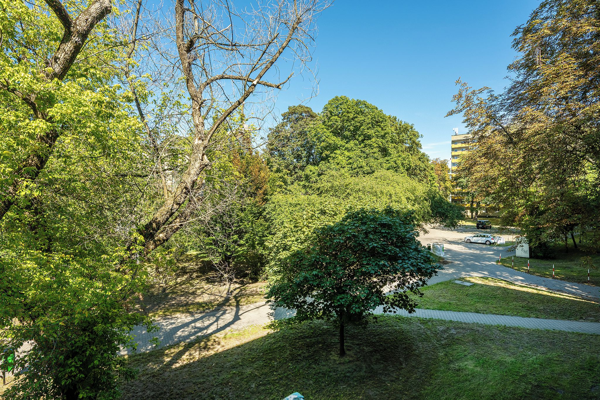Vista desde la habitación