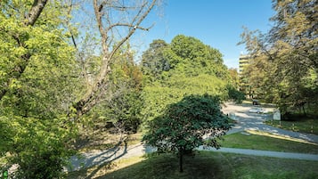 Vista desde la habitación