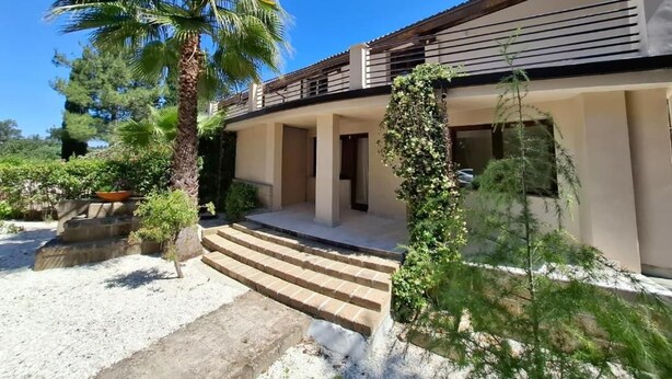 A modern building with a covered entrance, steps leading to the door, and a palm tree in the foreground. - Agriturismo Cavendo Tutus (Roma)