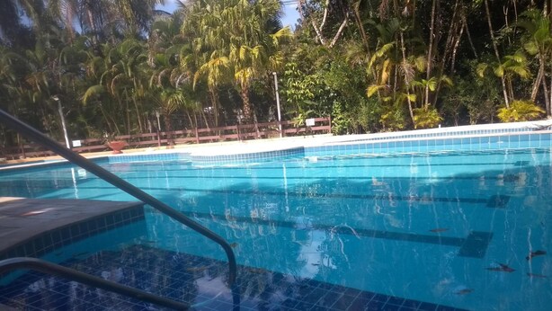 Una piscina con acqua cristallina, circondata da palme e da una recinzione in legno.