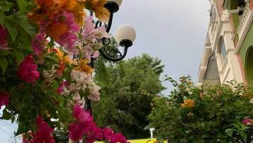 Vista de la calle con un letrero amarillo de un hotel, rodeado de vegetación exuberante y plantas con flores.