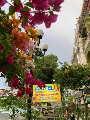 Vista de la calle con un letrero amarillo de un hotel, rodeado de vegetación exuberante y plantas con flores.