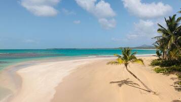 A beach with clear turquoise water, a sandy shore, and palm trees.