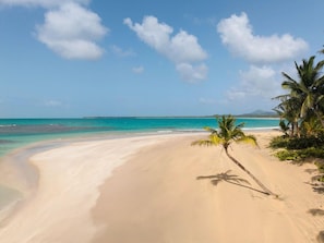 Una playa con agua turquesa cristalina, una orilla arenosa y palmeras.
