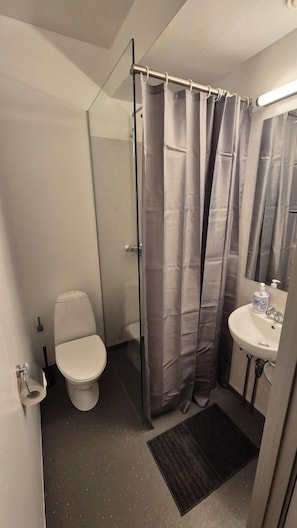 Kylpyhuone, jossa on wc, pesuallas, suihkuverho ja peili.