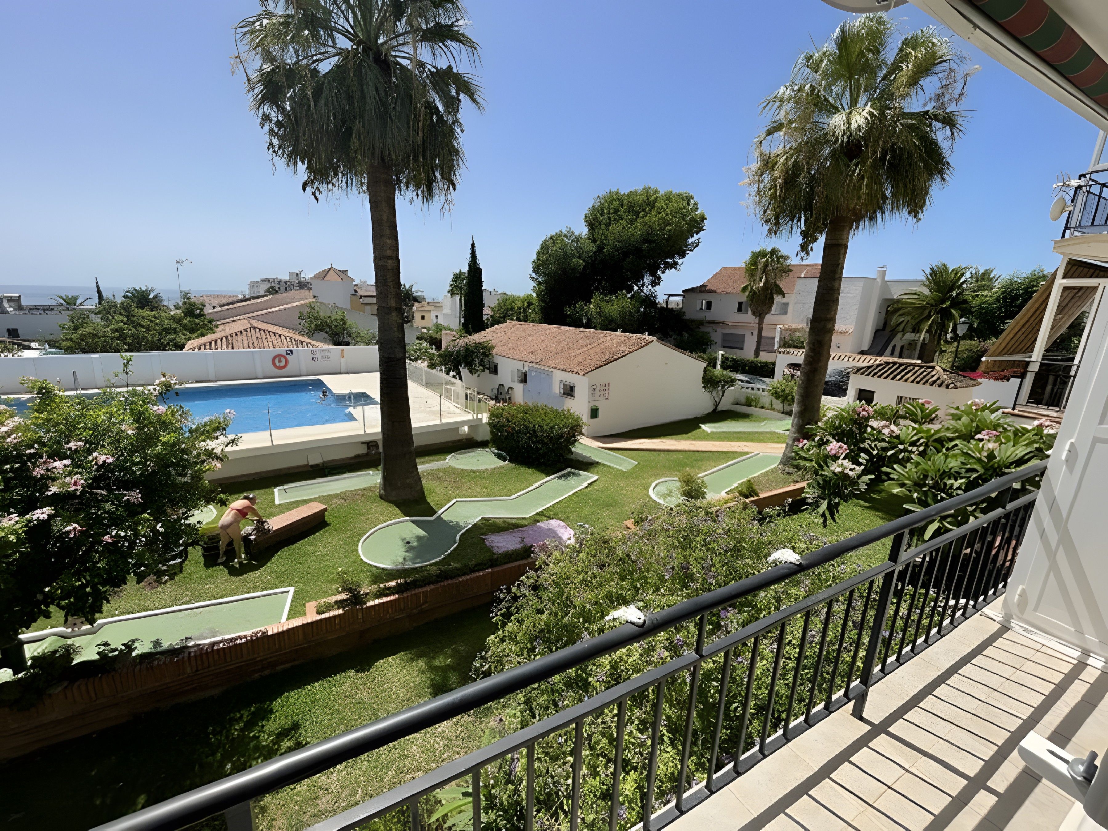 A residential area with a swimming pool, palm trees, and a well-maintained lawn.
