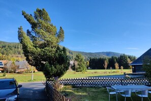 A residential area with a parked car, a table with chairs, and a fence. - Holiday home with 1 bedroom (St.Blasien \/ Menzenschwand)