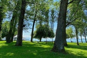Ein Park mit hohen Bäumen und einem Gewässer im Hintergrund.