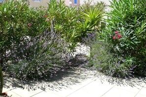 A garden with various plants and shrubs, including some with purple flowers. - Holiday home in Gruissan with swimming pool (Gruissan)