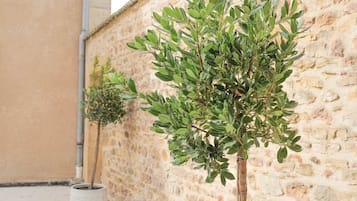 Een smalle steeg met een stenen muur, een kleine boom en een plant in pot.