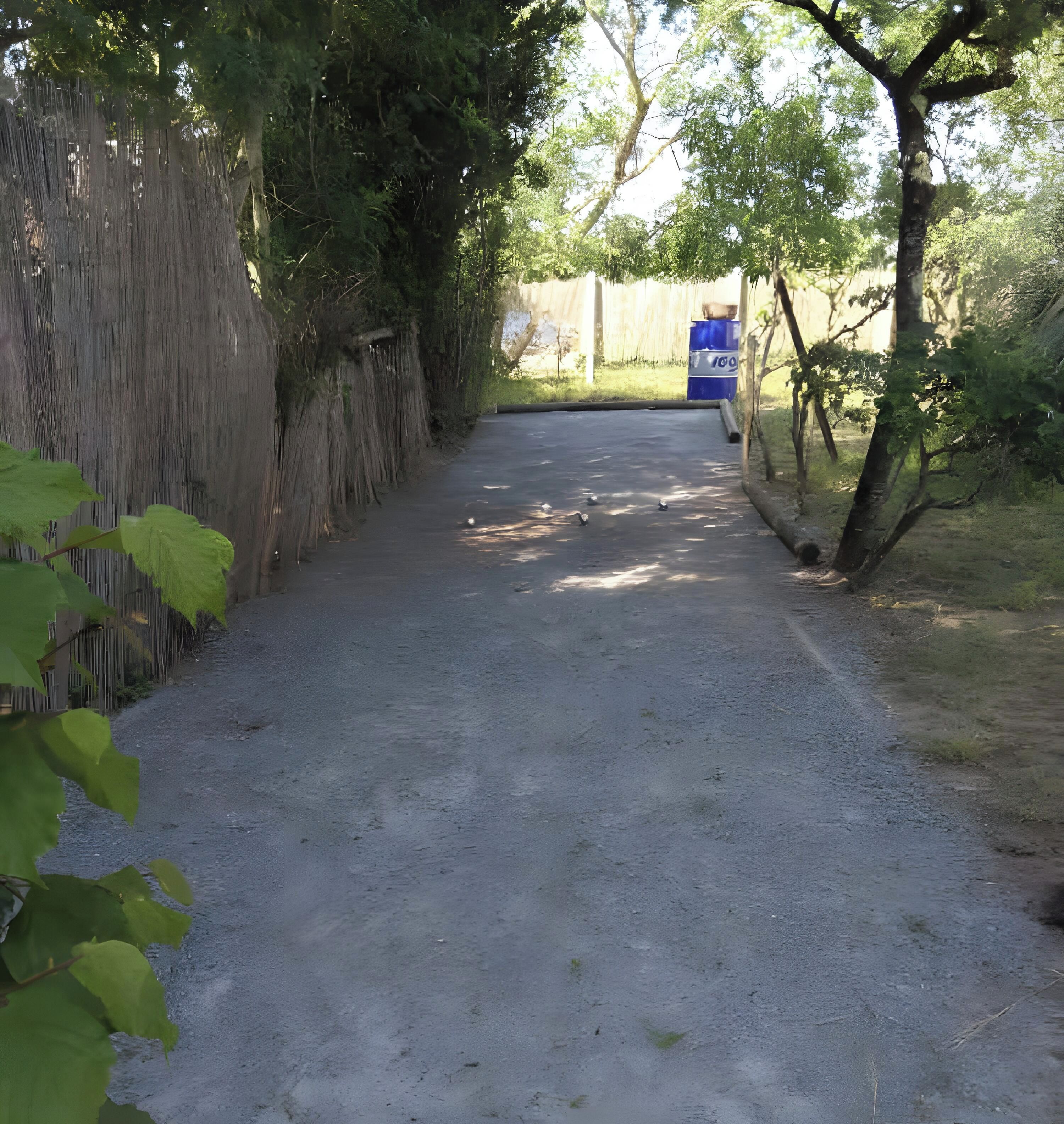 Un chemin de gravier mène à un baril bleu, entouré de verdure et délimité par une clôture en bois.