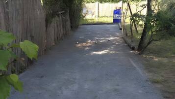 Un chemin de gravier mène à un baril bleu, entouré de verdure et délimité par une clôture en bois.