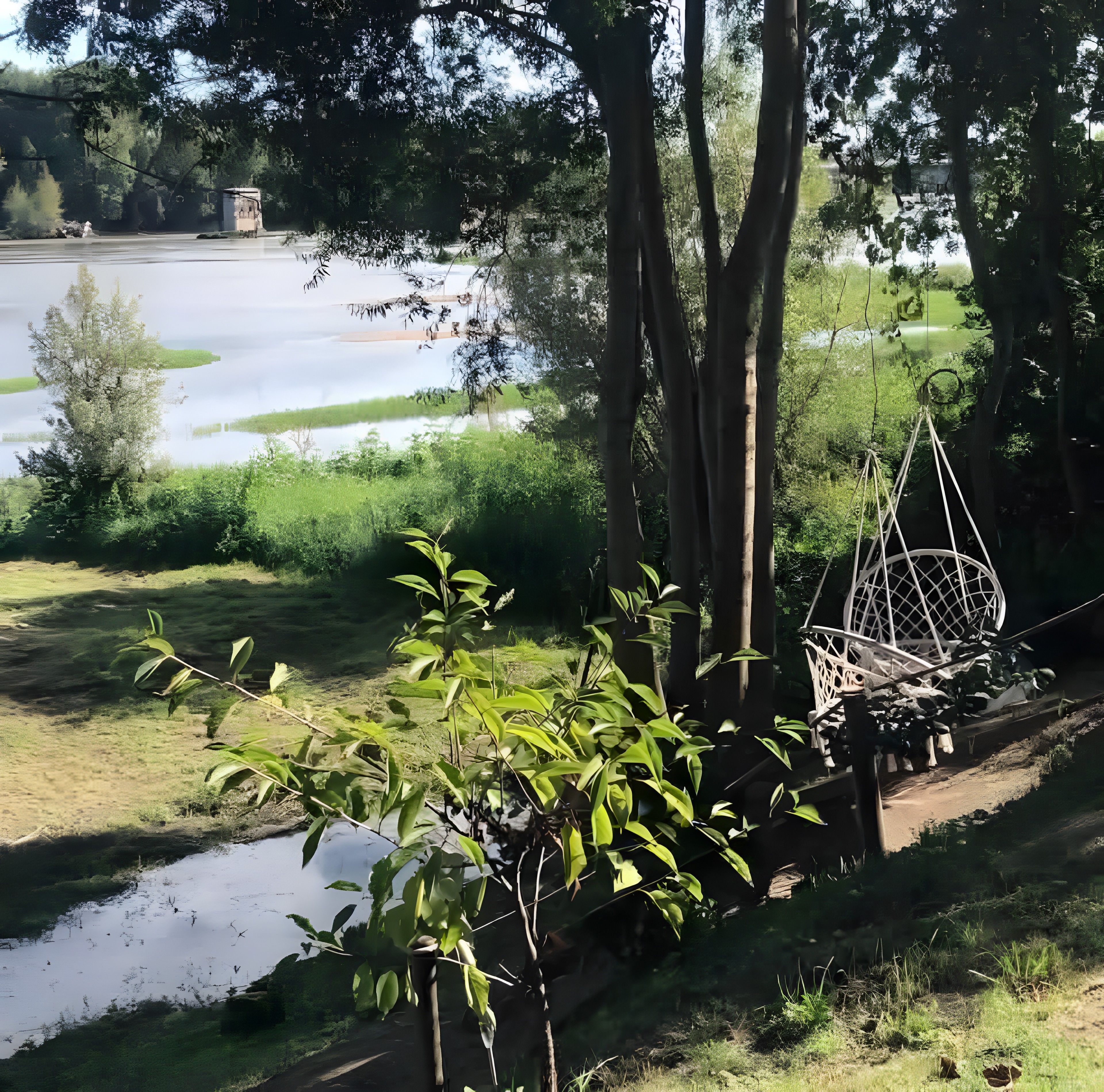 Een rustig buitengebied met een waterpartij, bomen en een schommel.