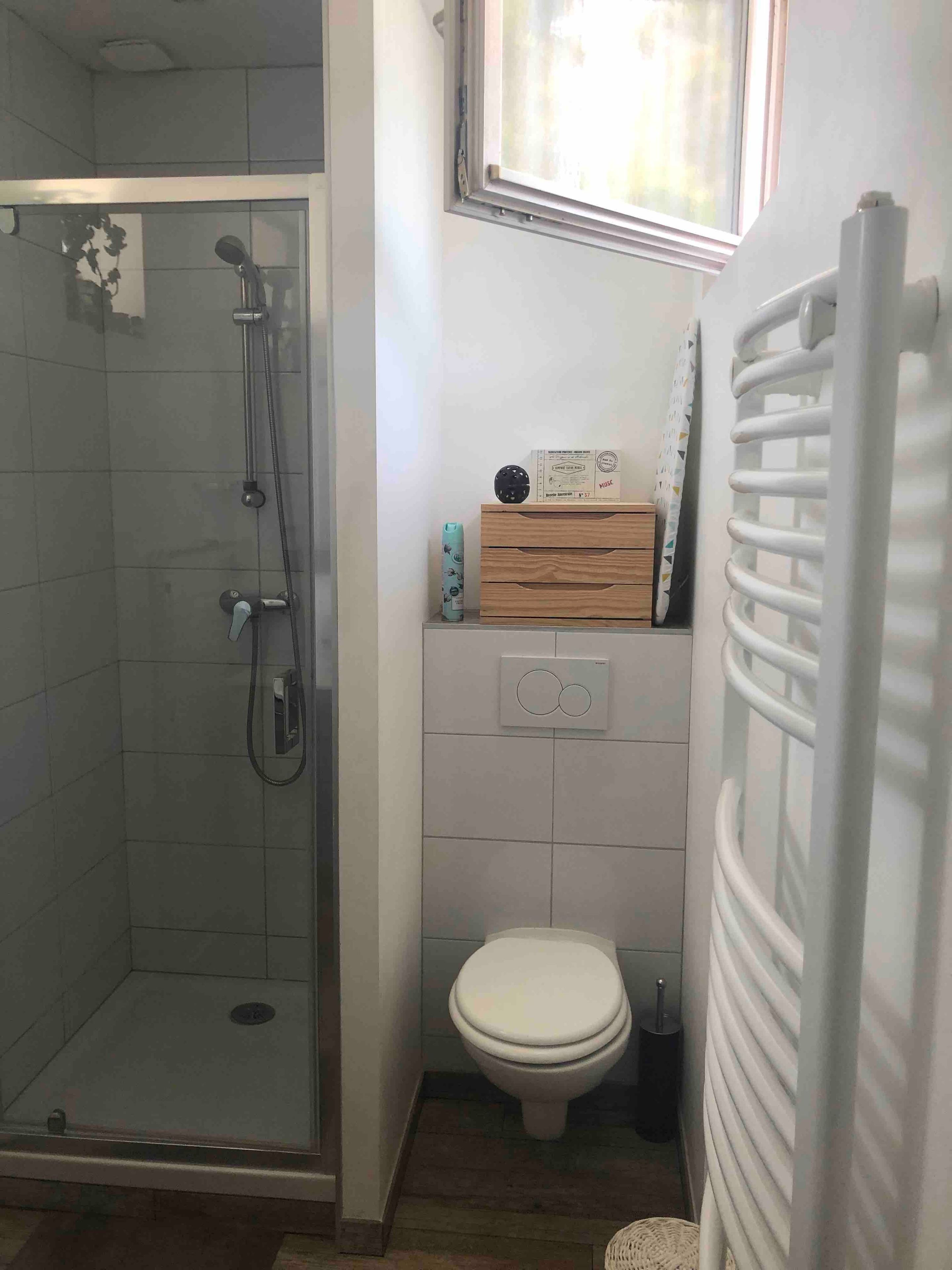 A bathroom with a glass-enclosed shower, a toilet, a radiator, and a window.