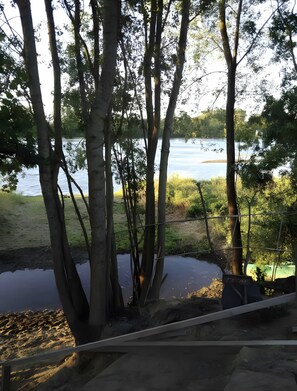 Blick auf einen See mit Bäumen und einem Holzsteg.