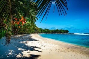 Una playa con aguas turquesas cristalinas, orilla arenosa y densa vegetación tropical.