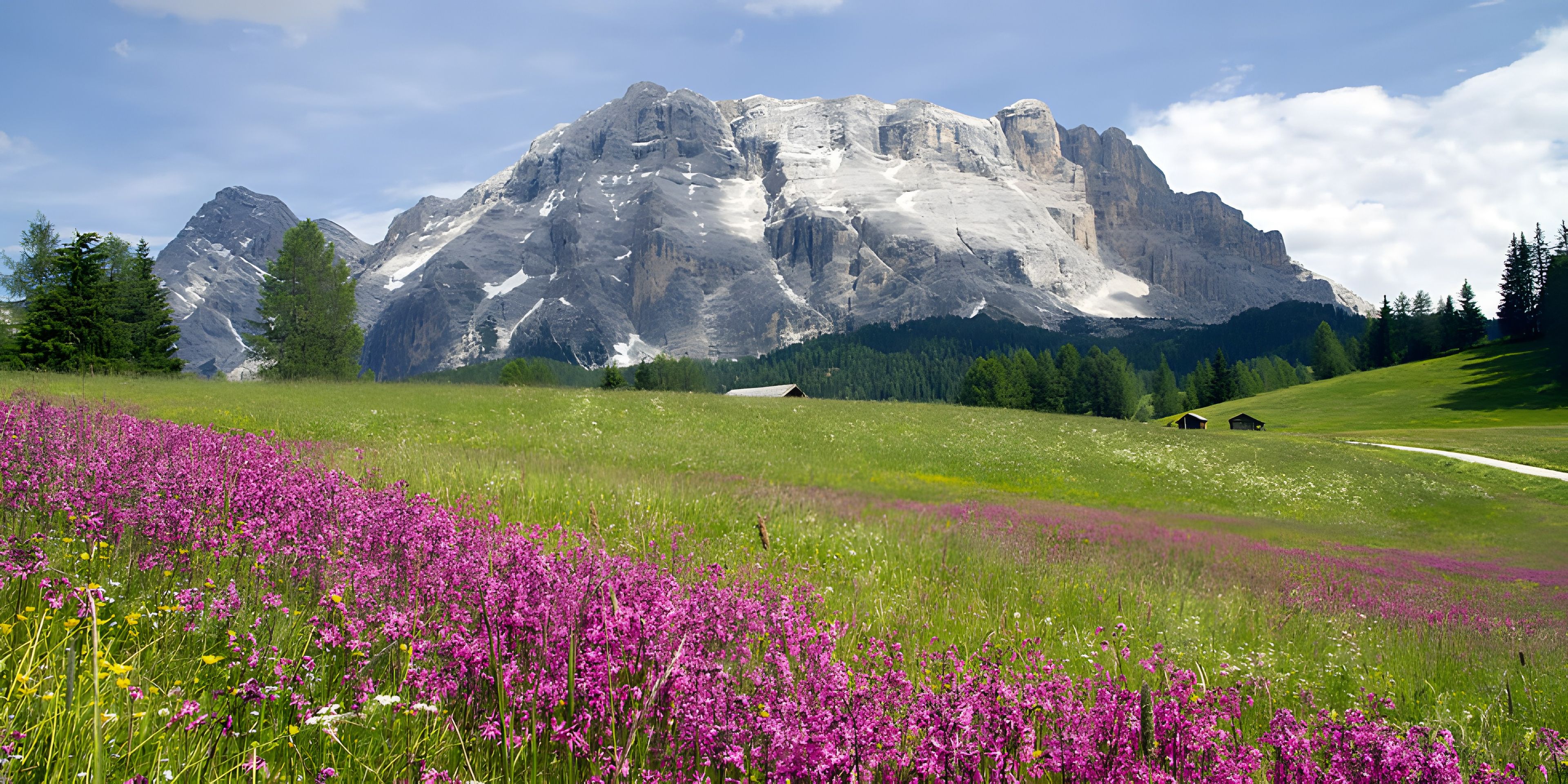 Un paisaje montañoso con un campo de flores púrpuras en primer plano y una gran montaña al fondo.