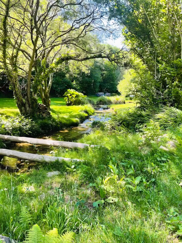 A natural landscape with a stream, trees, and grass.
