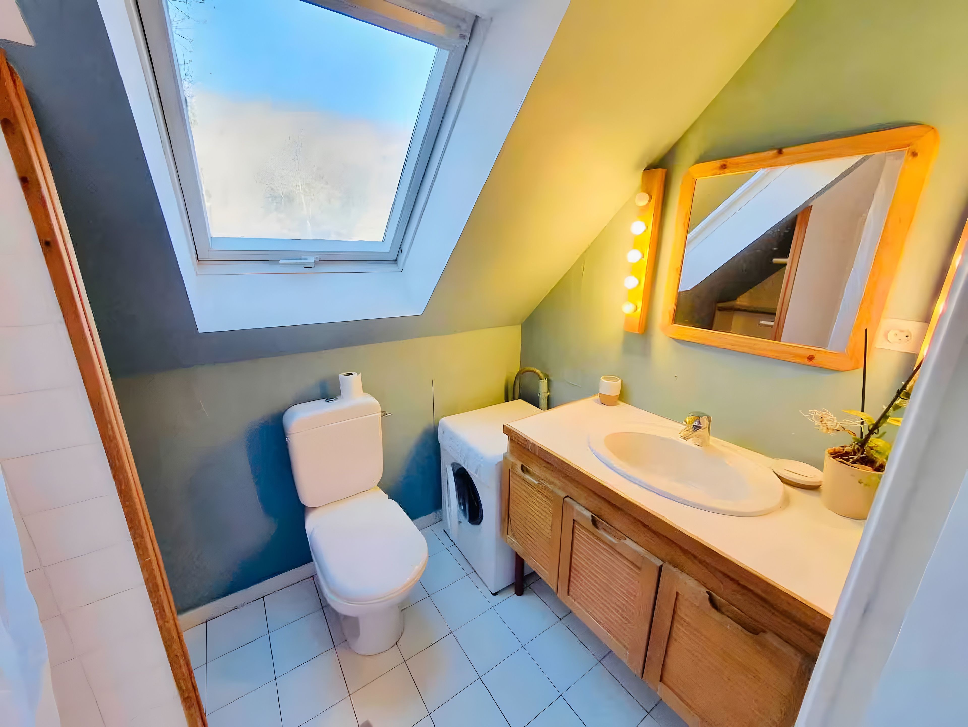 Een badkamer met dakraam, toilet, wastafel met spiegel en een kamerplant.