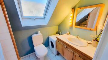 Een badkamer met dakraam, toilet, wastafel met spiegel en een kamerplant.