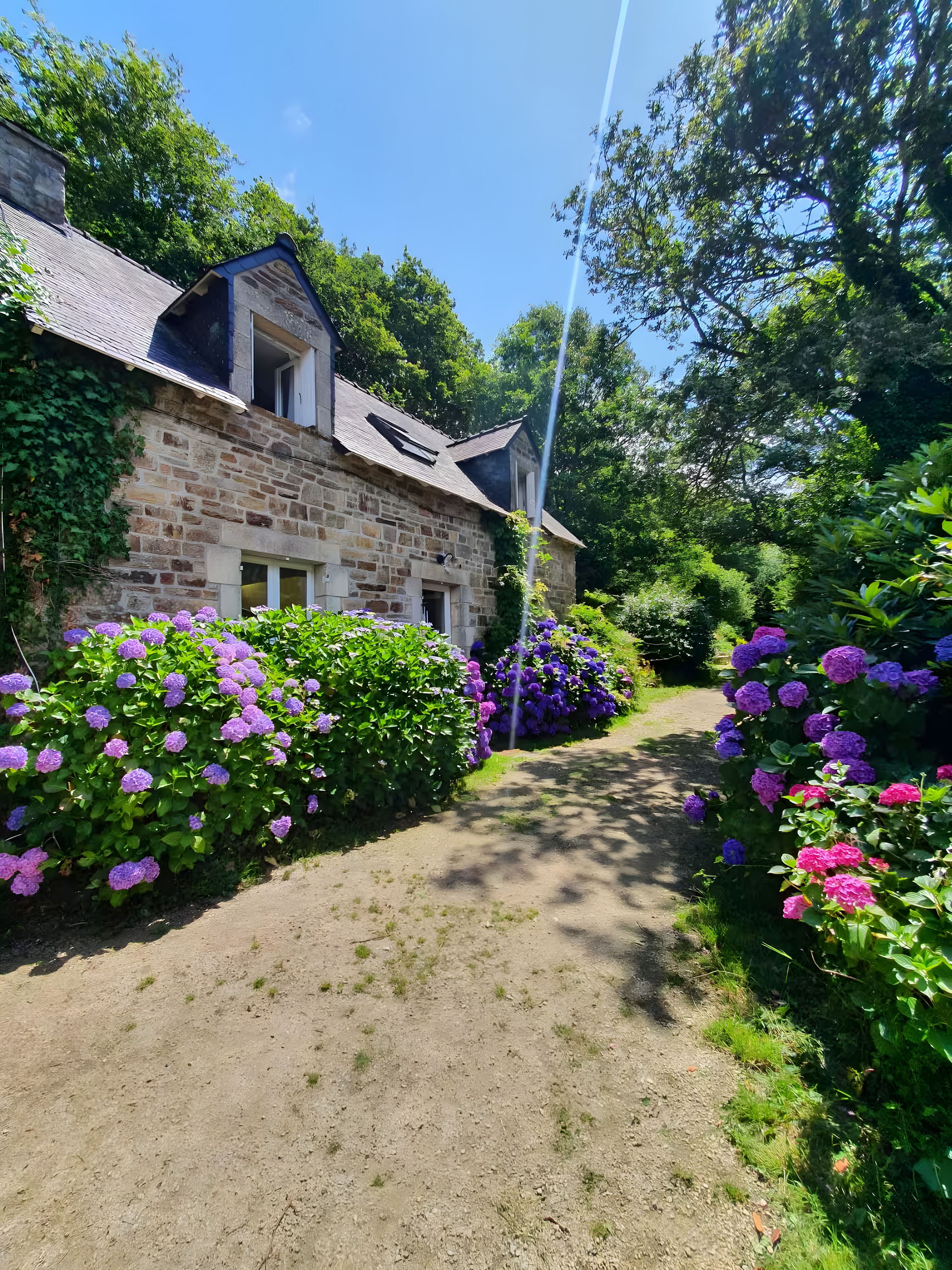A stone building with a sloped roof, surrounded by lush greenery and purple flowers.