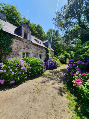 A stone building with a sloped roof, surrounded by lush greenery and purple flowers.